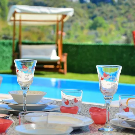 Saltanat Kalkan